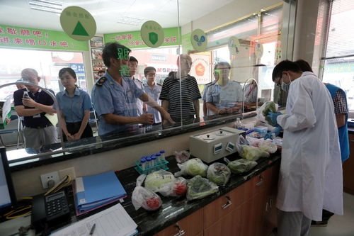 食用農產品抽檢全合格，人大代表政協委員現場見證助力零售安全